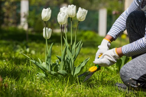 Landscaping designers reviewing plans for a garden makeover